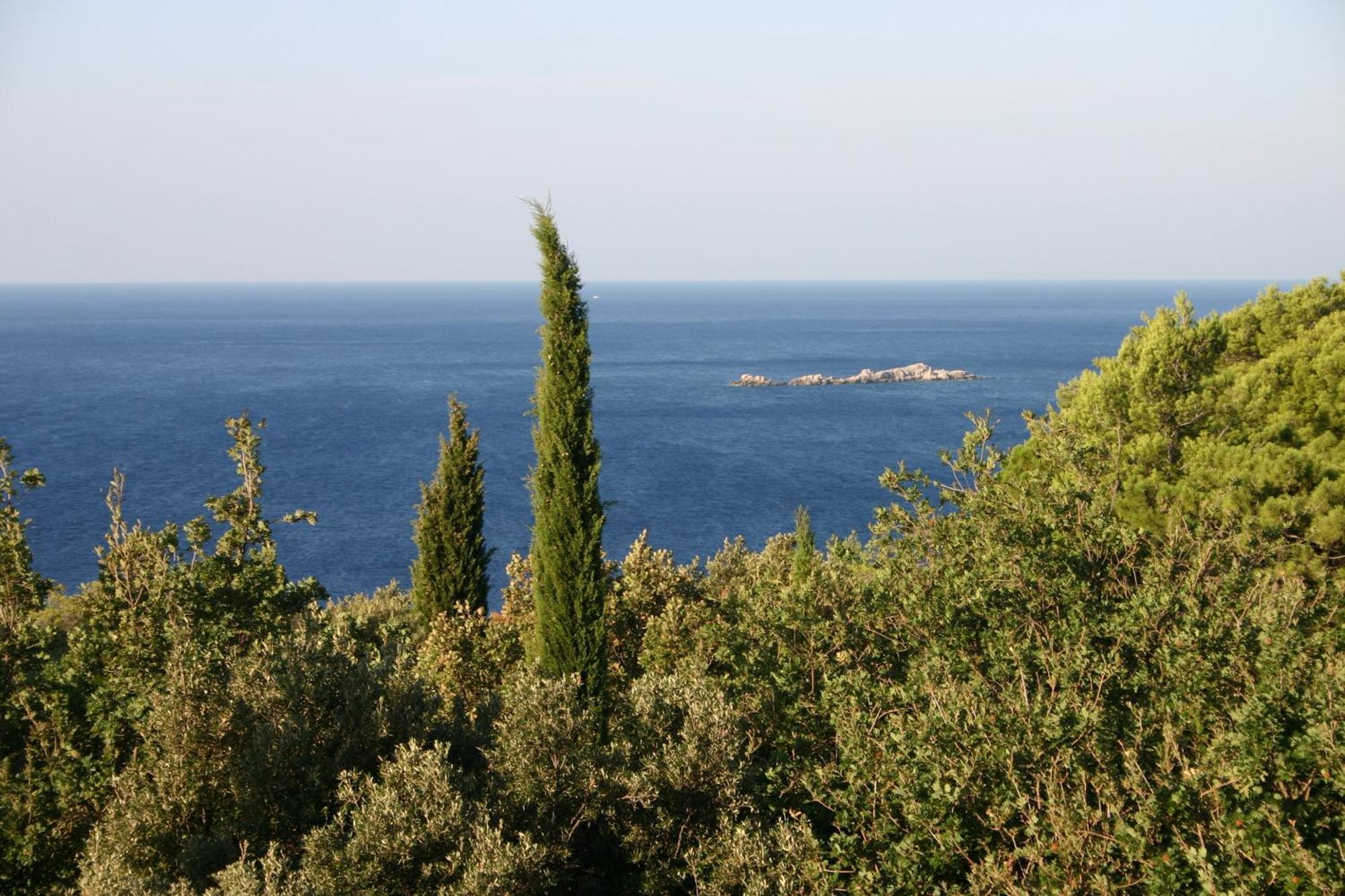Dub Cavtat